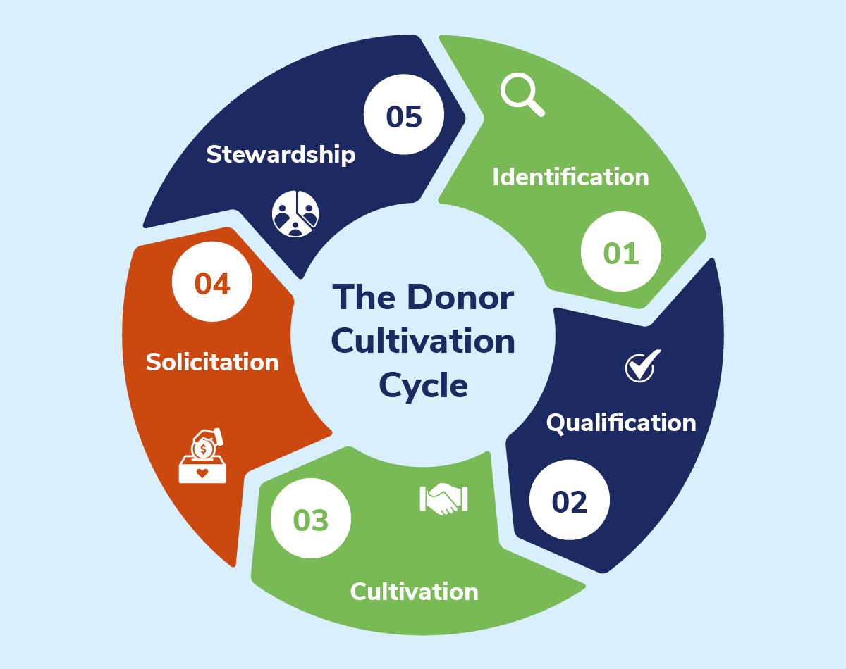 The steps of the donor cultivation cycle, which are explained in the text.